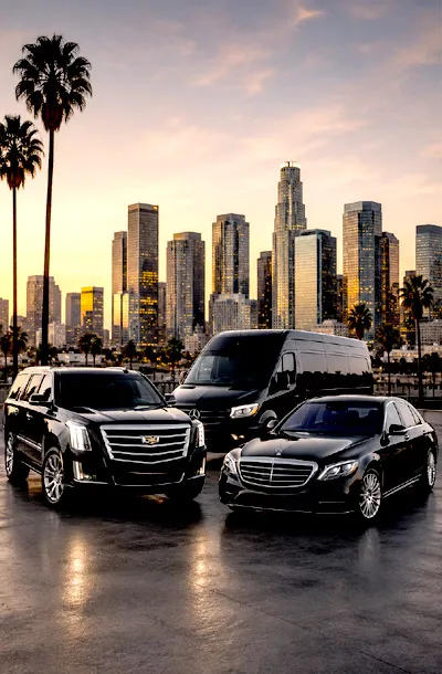 la private chauffeur service
